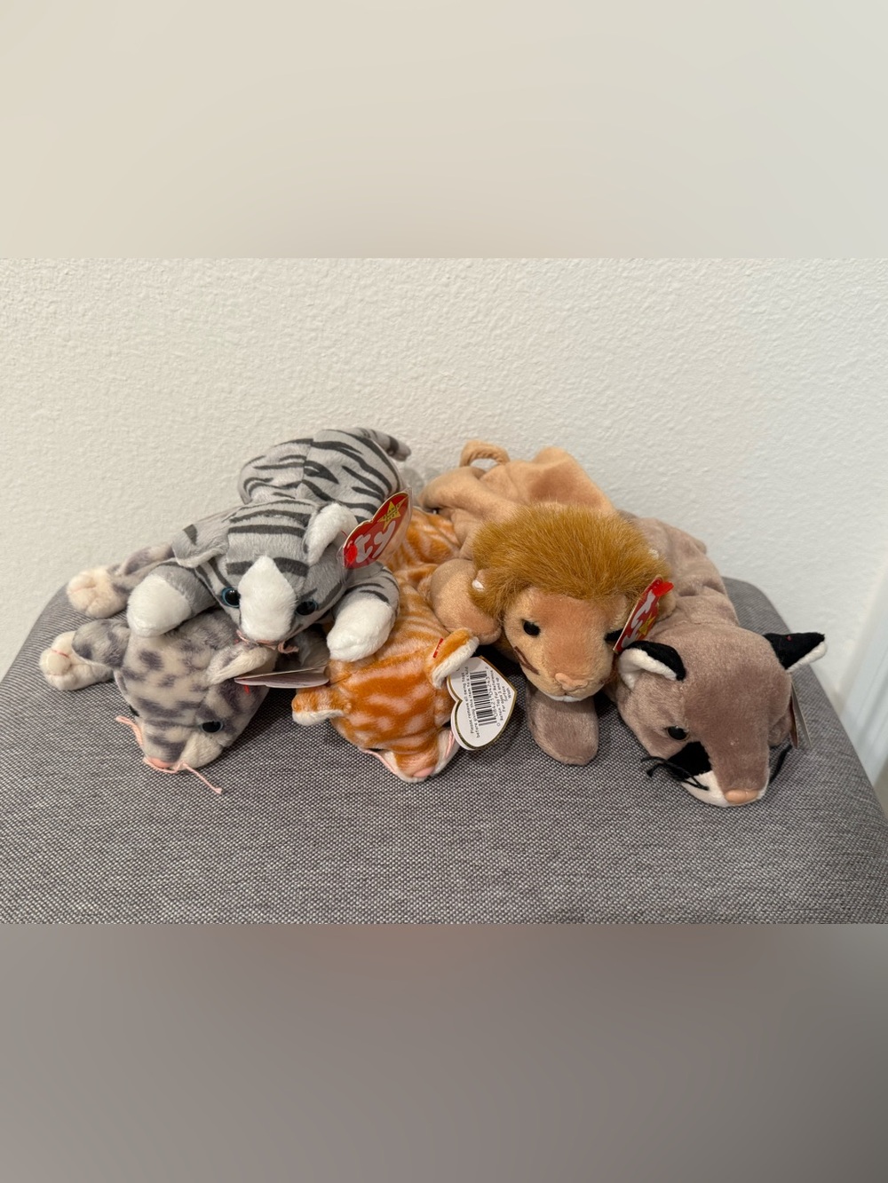 Ty Beanie Babies Cat Set of 5